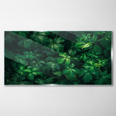 Green thicket of leaves Wall art on glass