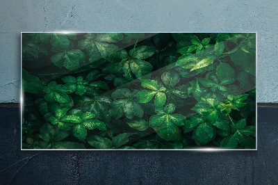 Green thicket of leaves Wall art on glass