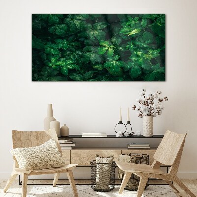 Floral leaf leaves Glass Print