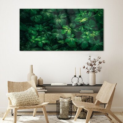 Green thicket of leaves Wall art on glass