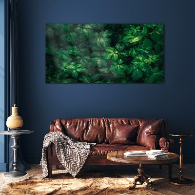 Green thicket of leaves Wall art on glass