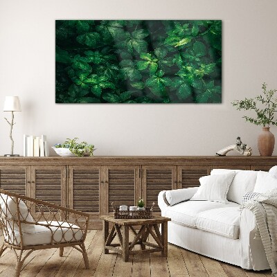 Green thicket of leaves Wall art on glass