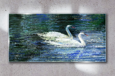 Calm water with swans Glass art print