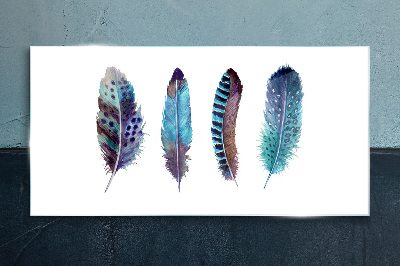 Colorful Feathers on White Background Glass art print