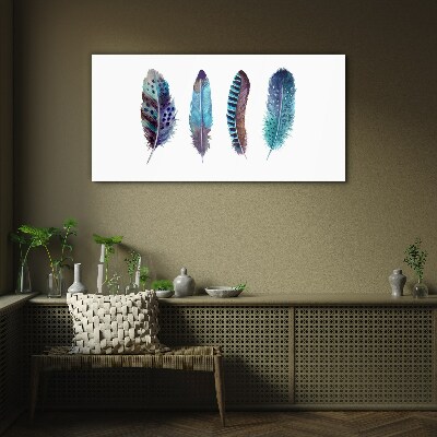 Colorful Feathers on White Background Glass art print