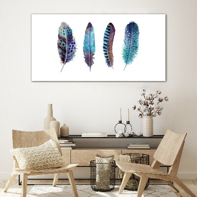 Colorful Feathers on White Background Glass art print