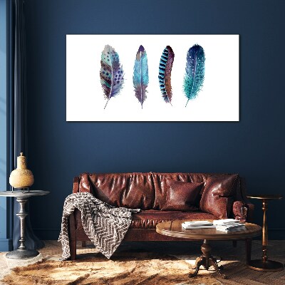 Colorful Feathers on White Background Glass art print