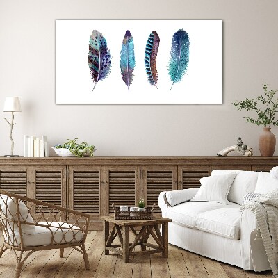 Colorful Feathers on White Background Glass art print