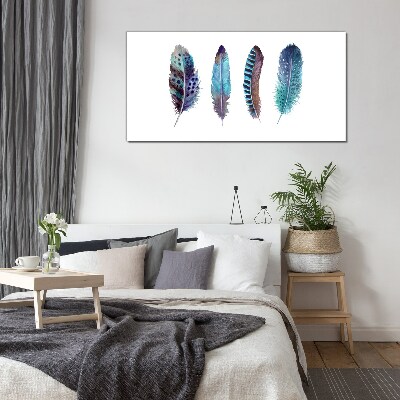 Colorful Feathers on White Background Glass art print