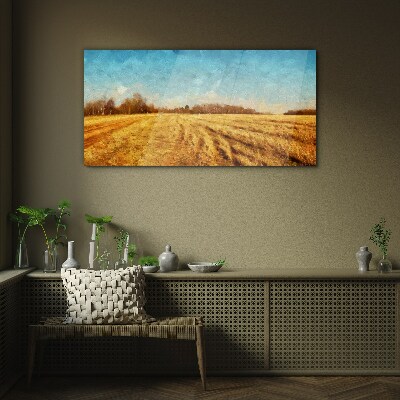 Golden fields under blue sky Glass art print