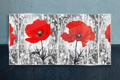 Red poppies on a glass background Wall art on glass