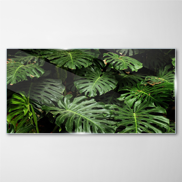 Plant leaves Glass Print