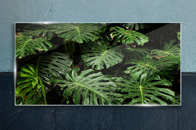 Tropical Monstera Leaves Wall art on glass