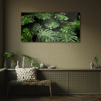 Tropical Monstera Leaves Wall art on glass
