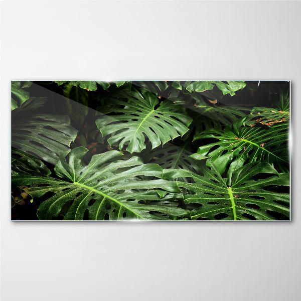 Plant leaves Glass Print