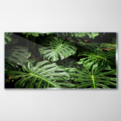 Plant leaves Glass Print