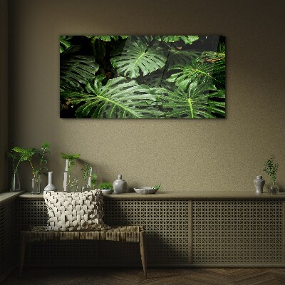 Plant leaves Glass Print