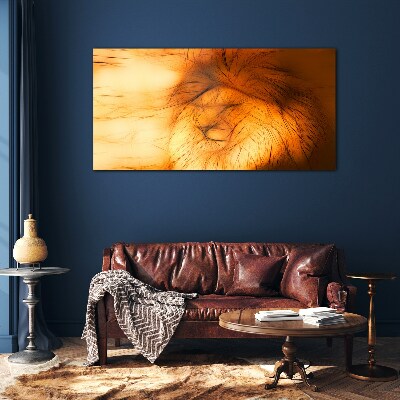 Golden Lion in Abstract Form Wall art on glass
