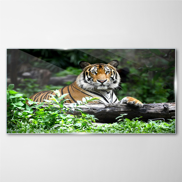 Tiger in the green forest Wall art on glass