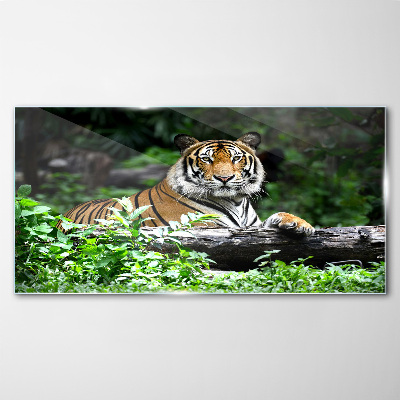 Tiger in the green forest Wall art on glass