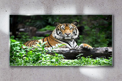 Tiger in the green forest Wall art on glass