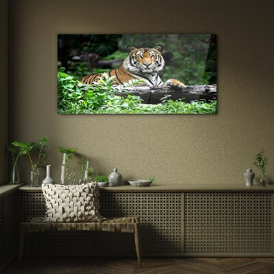Tiger in the green forest Wall art on glass