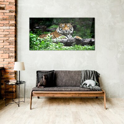 Tiger in the green forest Wall art on glass