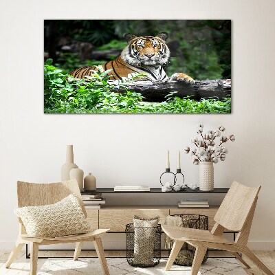 Tiger in the green forest Wall art on glass