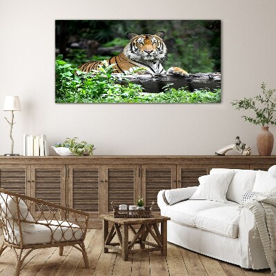 Tiger in the green forest Wall art on glass