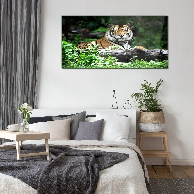 Forest animal tiger cat Glass Wall Art