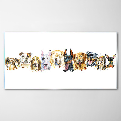 Modern animals dogs Glass Print