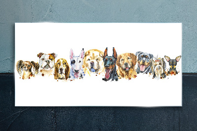 Modern animals dogs Glass Print