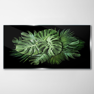 Tropical green on black background Glass art print