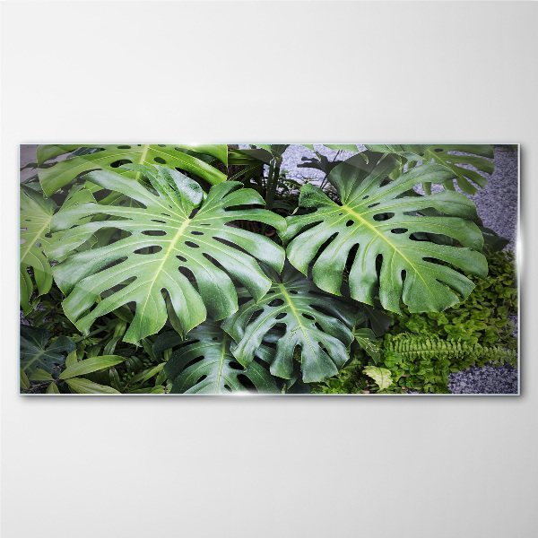 Botanical plants leaves Glass Print