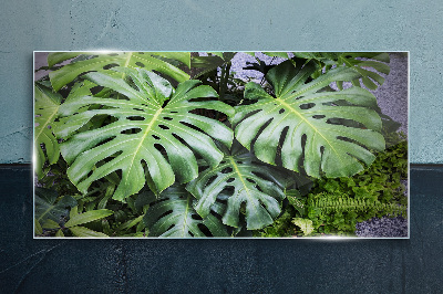 Green Monstera Leaves in Nature Wall art on glass
