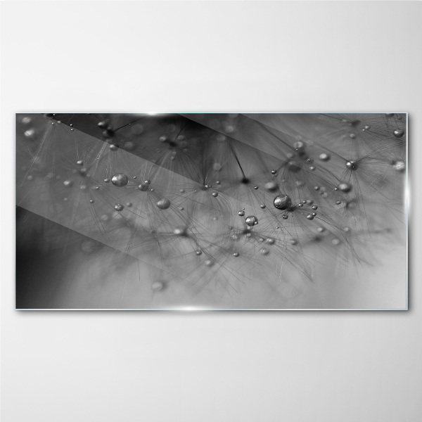 Dew drops on a dandelion Wall art on glass