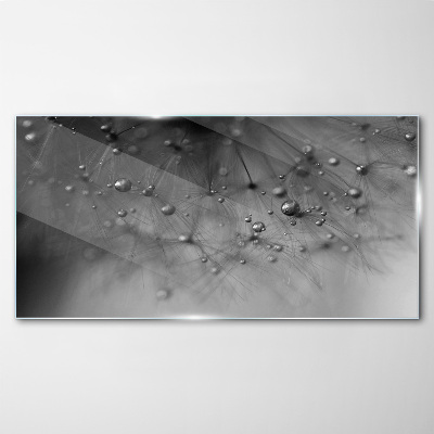 Water abstraction dandelion Glass Print