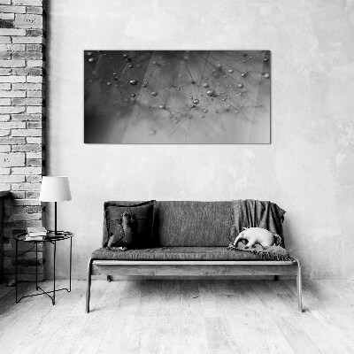 Dew drops on a dandelion Wall art on glass