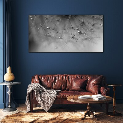 Dew drops on a dandelion Wall art on glass