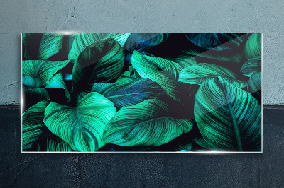 Green tropical leaves Glass art print