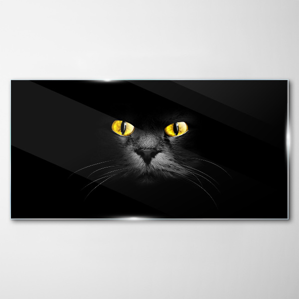 Golden eyes of a cat in shadow Glass art print