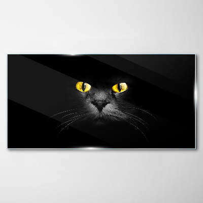 Golden eyes of a cat in shadow Glass art print