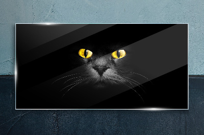 Golden eyes of a cat in shadow Glass art print
