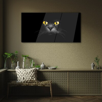 Golden eyes of a cat in shadow Glass art print