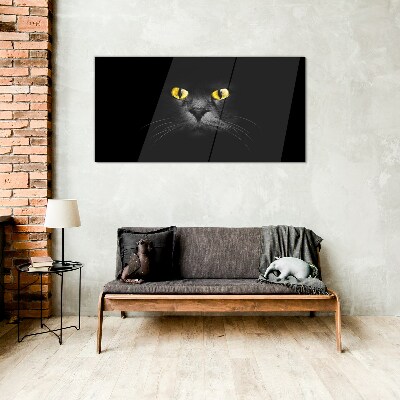Golden eyes of a cat in shadow Glass art print