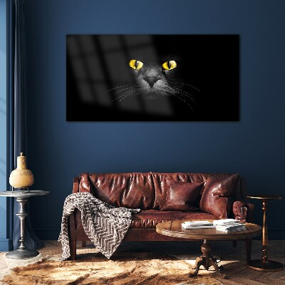 Golden eyes of a cat in shadow Glass art print