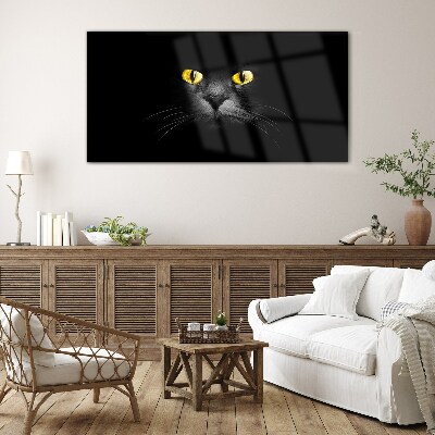 Golden eyes of a cat in shadow Glass art print