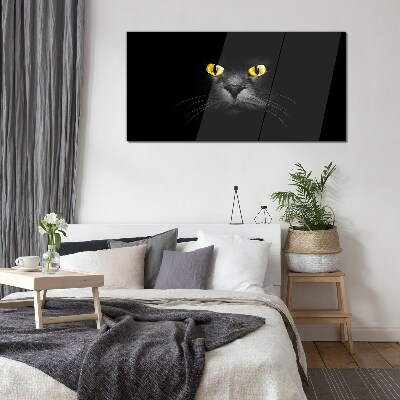 Golden eyes of a cat in shadow Glass art print