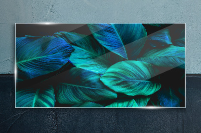 Green leaves in deep shade Wall art on glass