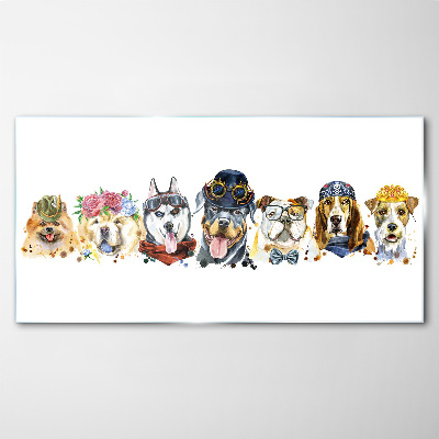 Dogs in fashionable accessories Glass art print
